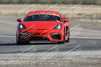 media/Oct-21-2023-Speed Ventures (Sat) [[ddf75163c5]]/Green/Grapvine/